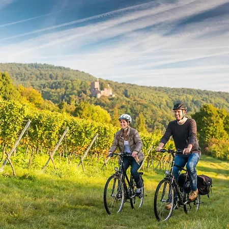 Hotel Parkhotel Landau 4*