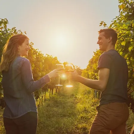 Parkhotel Landau Hotell 4*