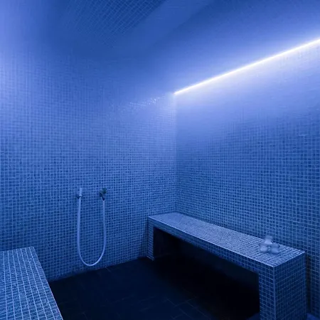 Parkhotel Landau מלון לנדאו אין דר פאלץ