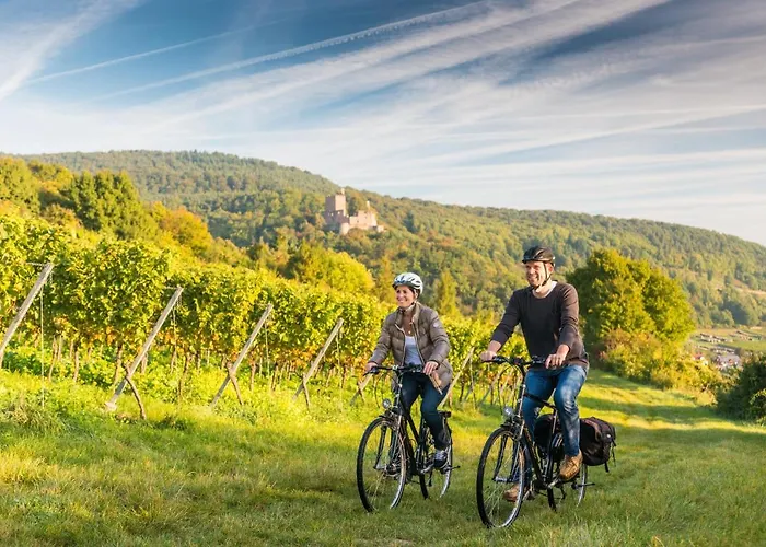 Hotel Parkhotel Landau 4*